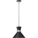 Soriano 1 Light 13.25 inch Matte Black and Brushed Nickel Pendant Ceiling Light
