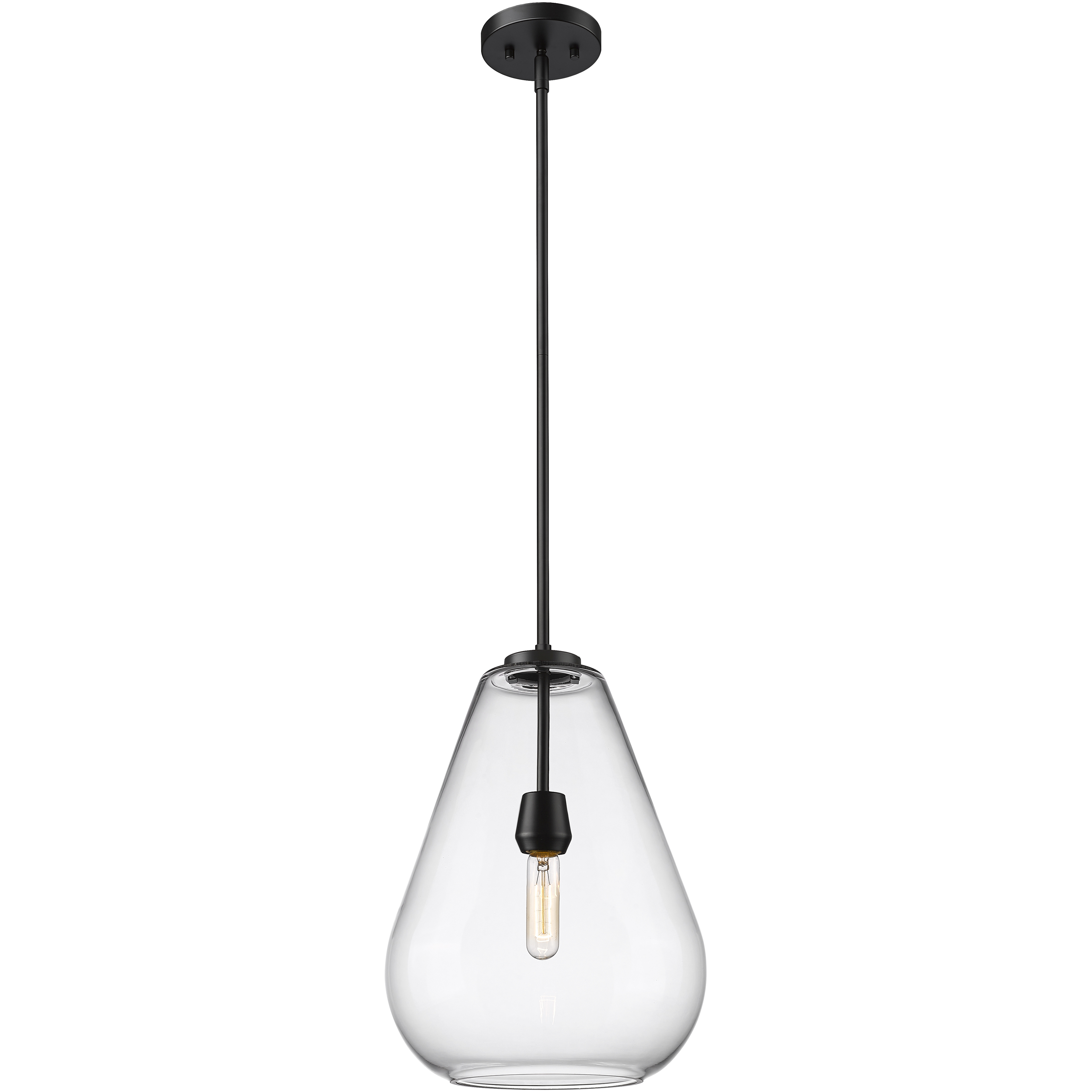 Ayra 1 Light 12 inch Matte Black Pendant Ceiling Light