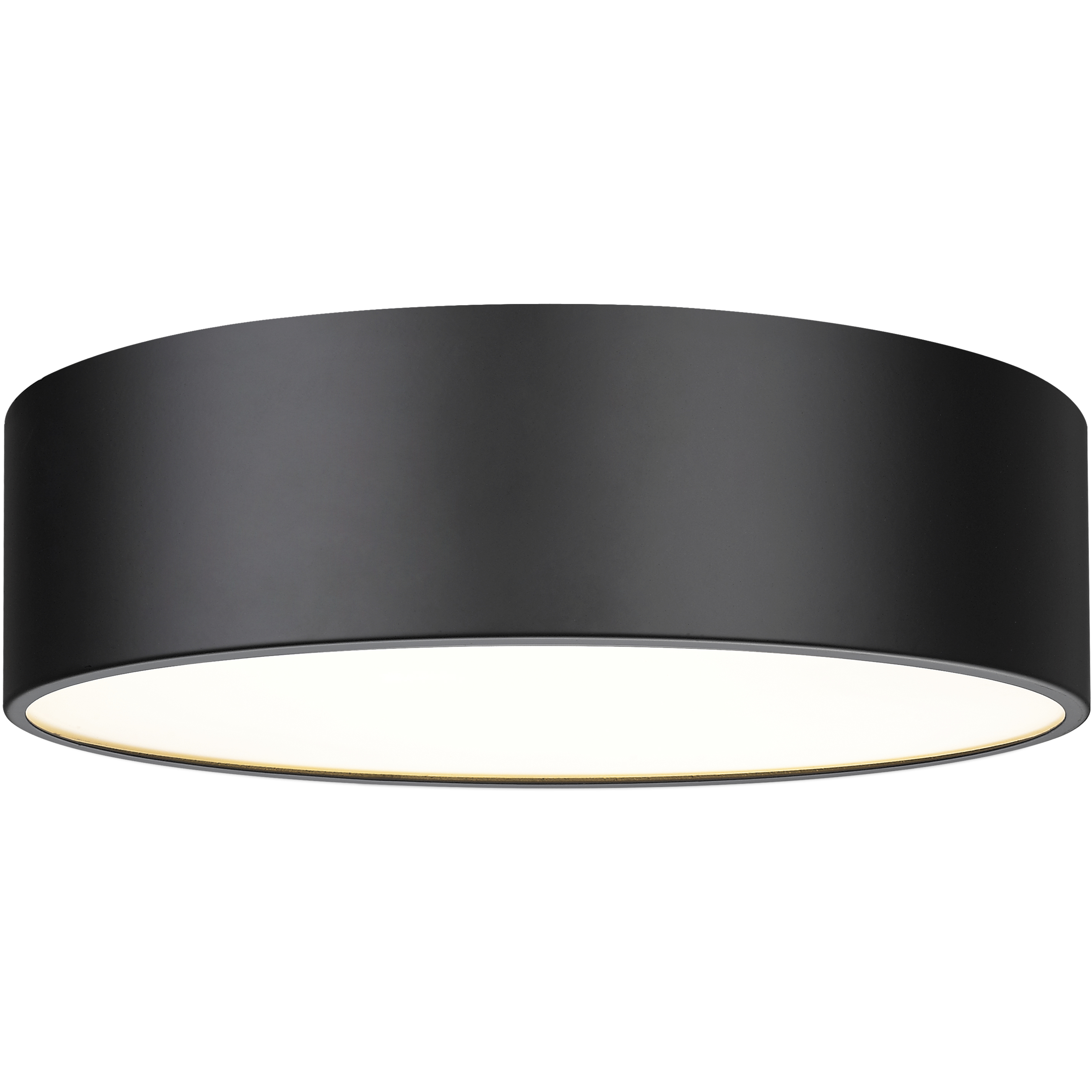Harley 4 Light 20 inch Matte Black Flush Mount Ceiling Light